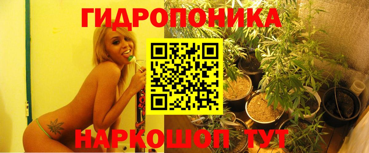 Марихуана сатива Россошь